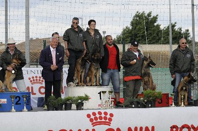 Remise des Prix 119.JPG - CHIENPLUS.COM